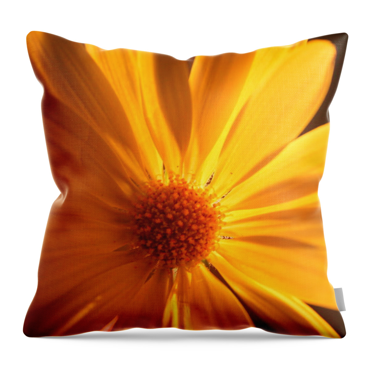 Flower Throw Pillow featuring the photograph Sweet One by Julie Lueders 