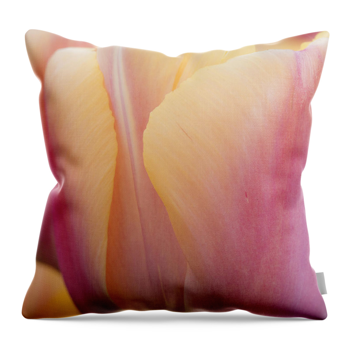 Beauty Throw Pillow featuring the photograph Sweet Sherbet by Eggers Photography