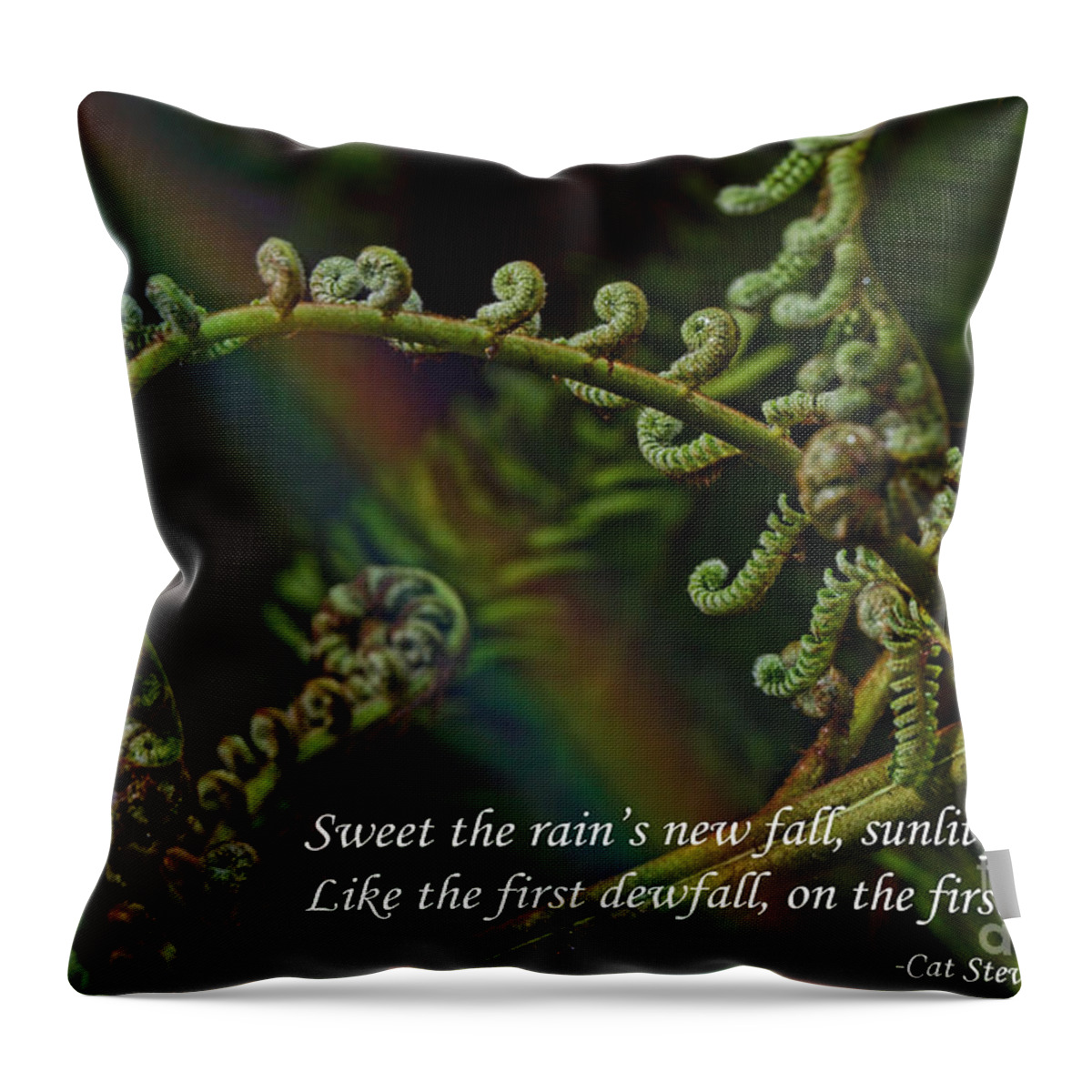 Cat Stevens Throw Pillow featuring the photograph Sweet the Rain's New Fall by Jim Fitzpatrick