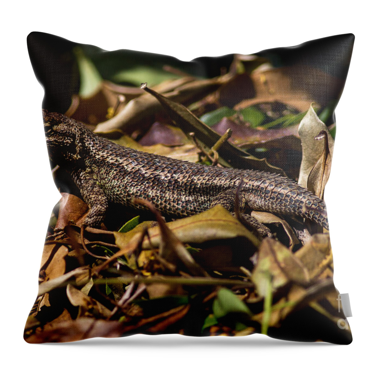 Sceloporus-occedentalis Throw Pillow featuring the photograph Swift in the leaves by Shawn Jeffries