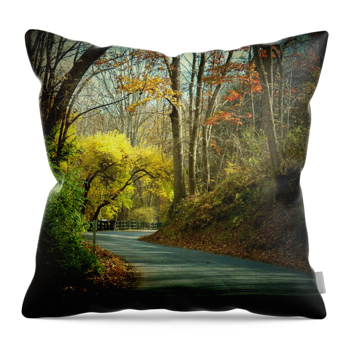 Autumn Throw Pillow featuring the photograph Swift Shoal Road by Joyce Kimble Smith