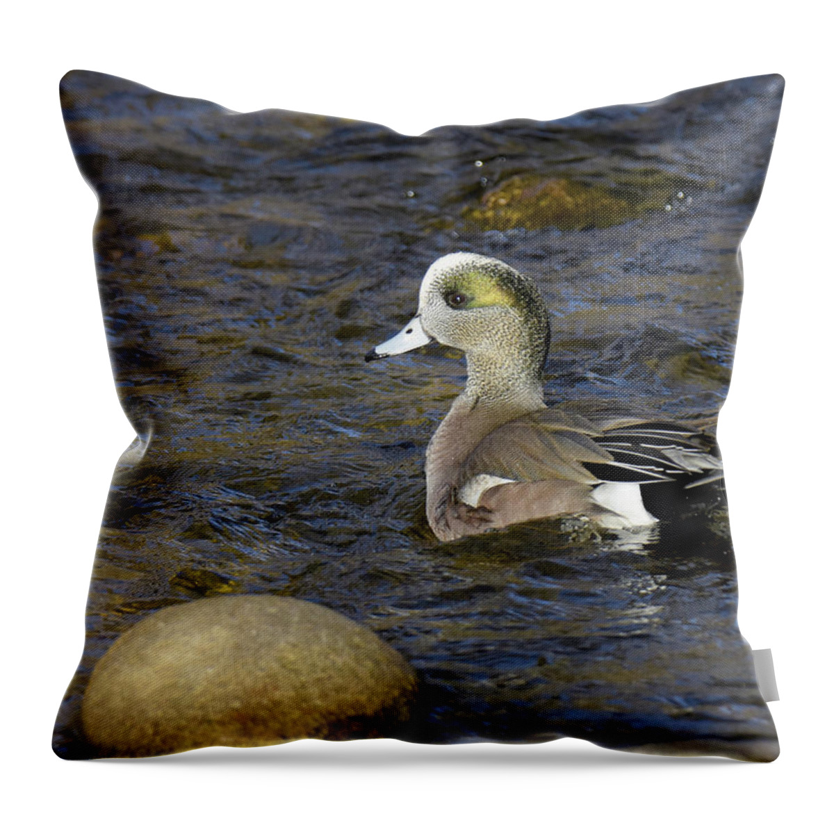 American Wigeon Throw Pillow featuring the photograph Swim Like a Duck by Judi Dressler