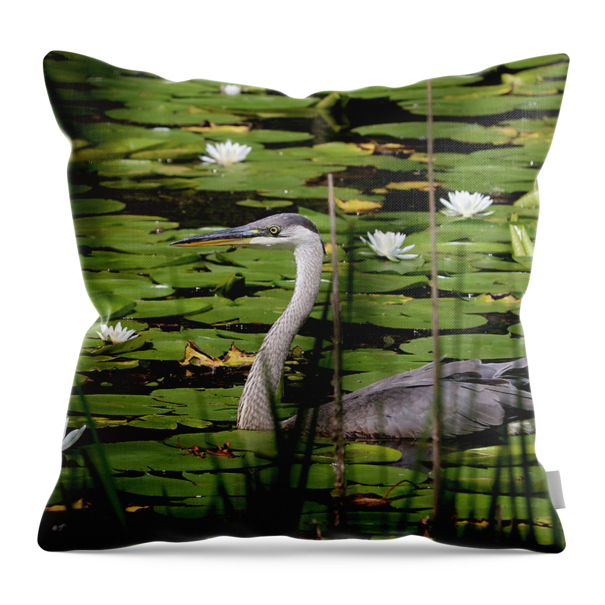Great Blue Heron Throw Pillow featuring the photograph Swimming among the waterlilies by Doris Potter