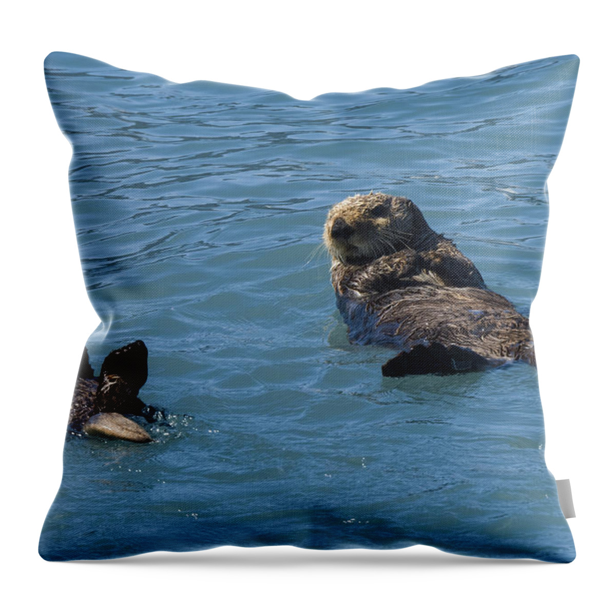 Wildlife. Sea Otter Throw Pillow featuring the photograph Swimming Lesson by Harold Piskiel