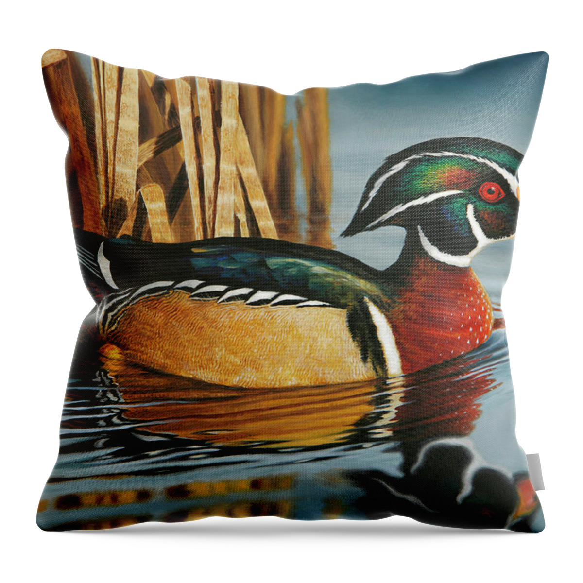 Wood Duck Throw Pillow featuring the painting Swimming Wood Duck by Guy Crittenden