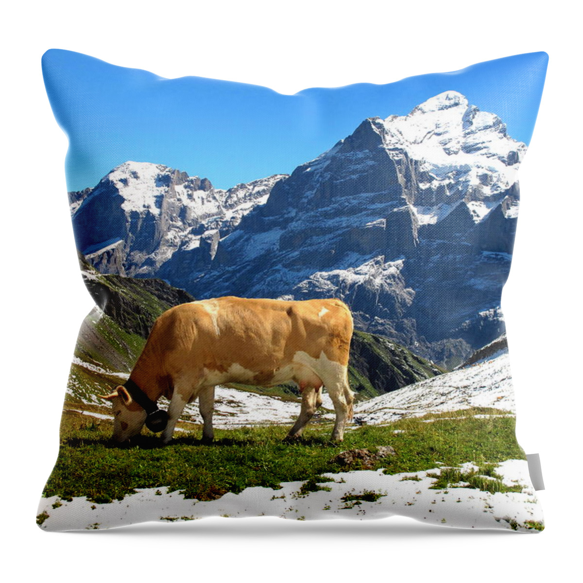 Switzerland Throw Pillow featuring the photograph Swiss Scene by Mary Ellen Mueller Legault