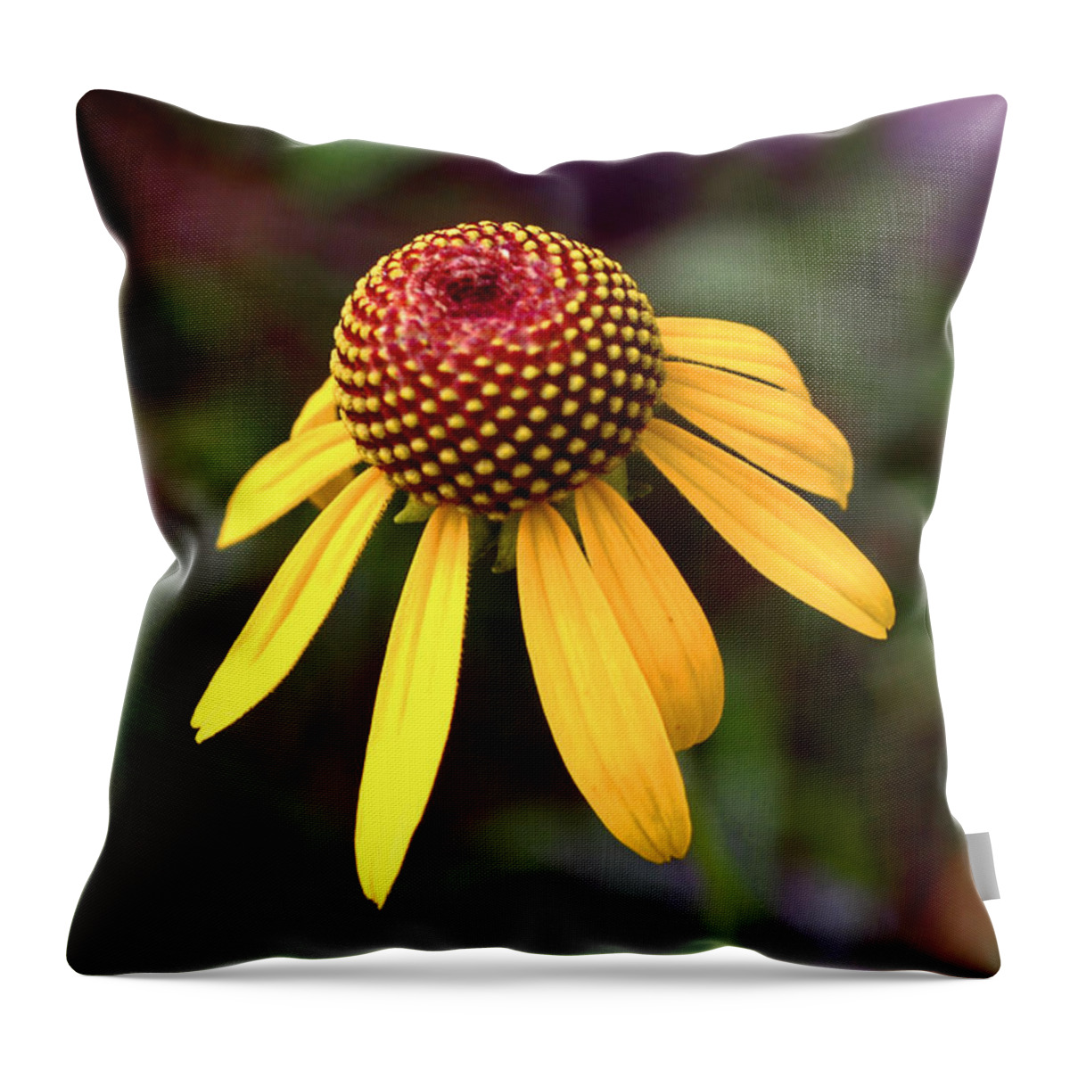 Daisy Throw Pillow featuring the photograph Symmetry Of Nature 015 by George Bostian