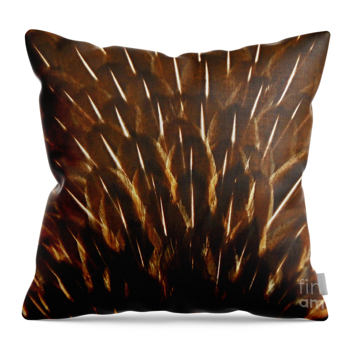 Wildlife Throw Pillow featuring the photograph Symmetry Of Nature by Jan Gelders