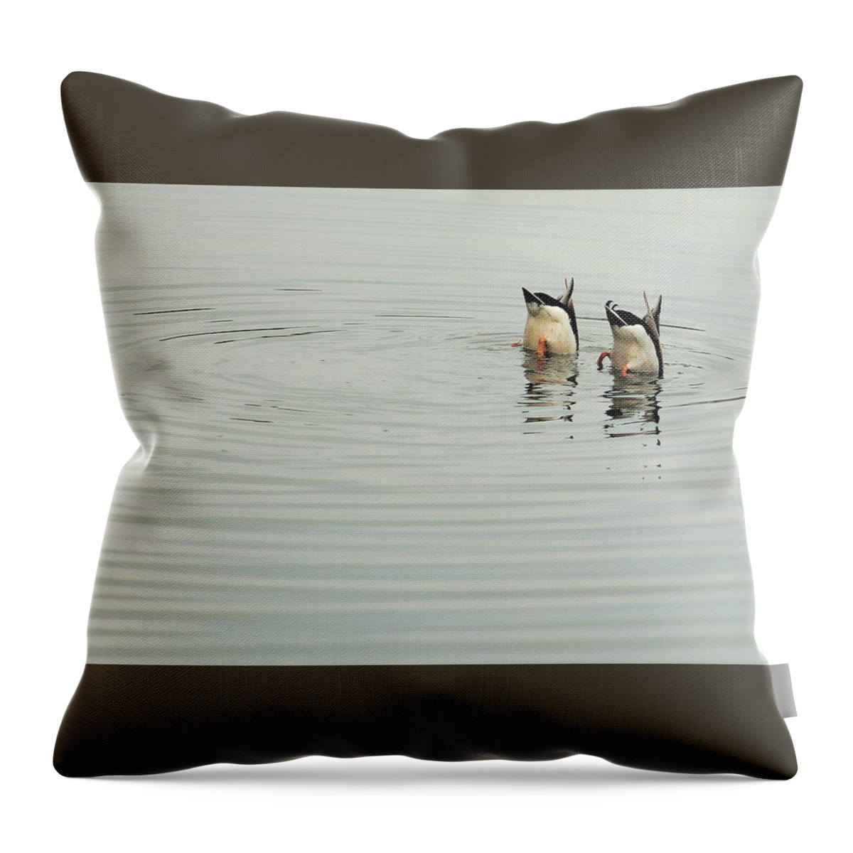 Ducks Throw Pillow featuring the photograph Synchronized Swimmers by Karl Anderson