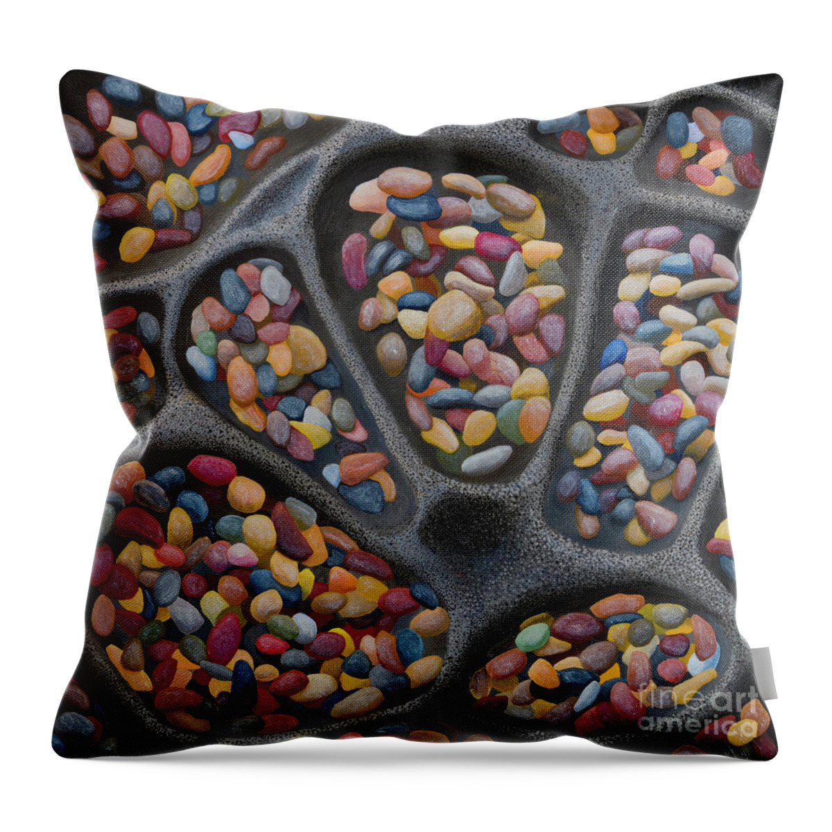 Pebbles Throw Pillow featuring the painting Tafoni Pockets by Garry McMichael