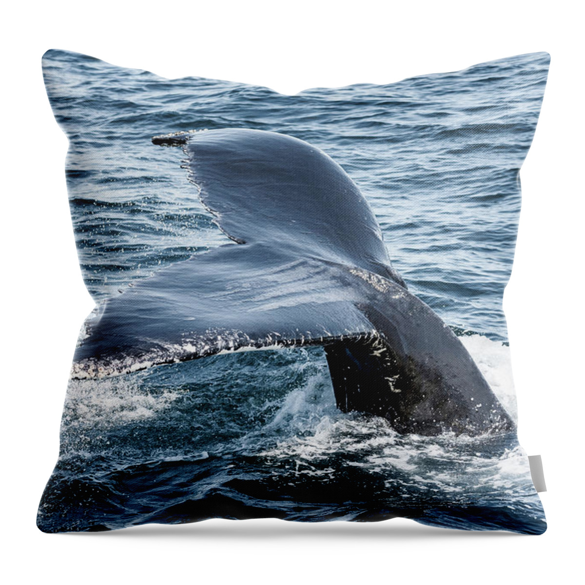 Whale Throw Pillow featuring the photograph Tail Fins Up by Lorraine Cosgrove