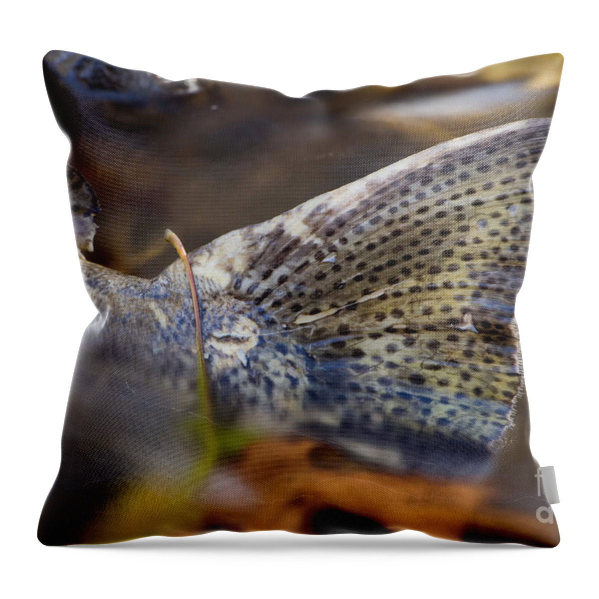 Salmon Throw Pillow featuring the photograph Tail Of A Dead Chinook Salmon by Ted Kinsman