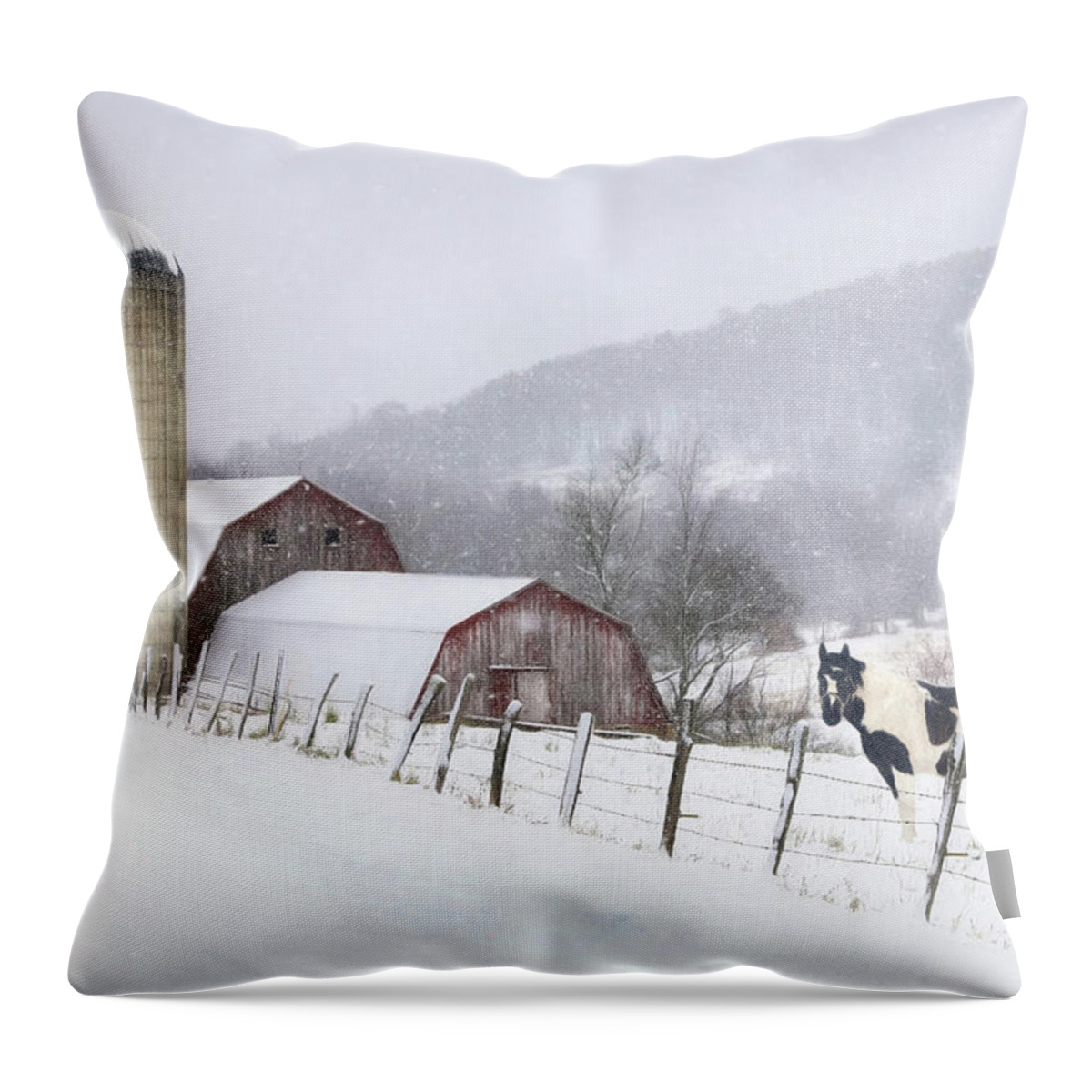 Snow Throw Pillow featuring the photograph Take a Snow Day by Lori Deiter