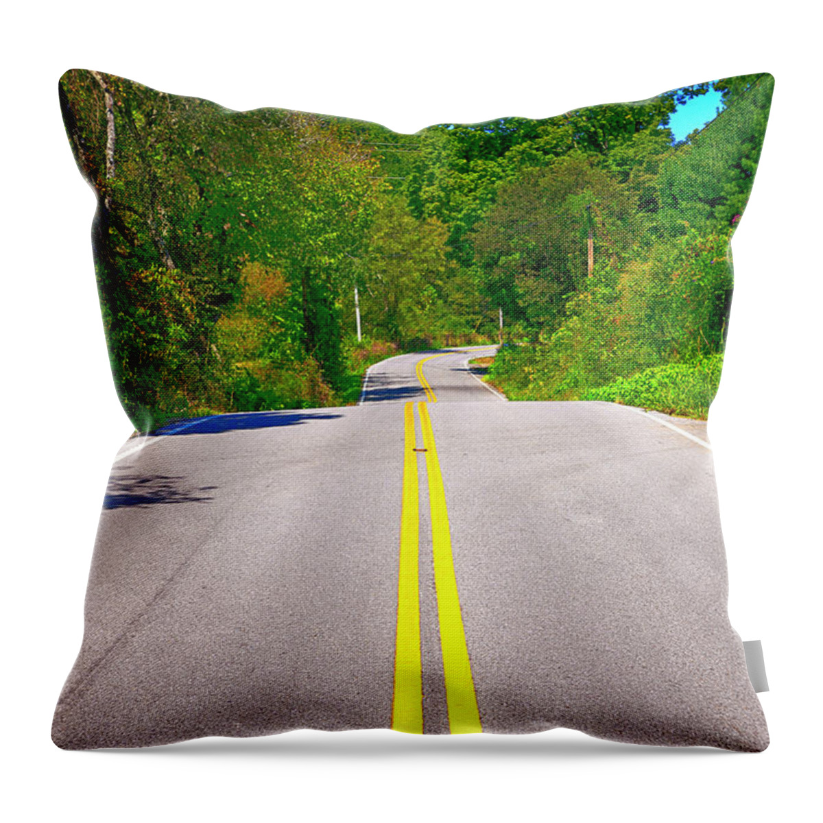 Rural Throw Pillow featuring the photograph Take Me Home Country Road Tenessee by Chris Smith