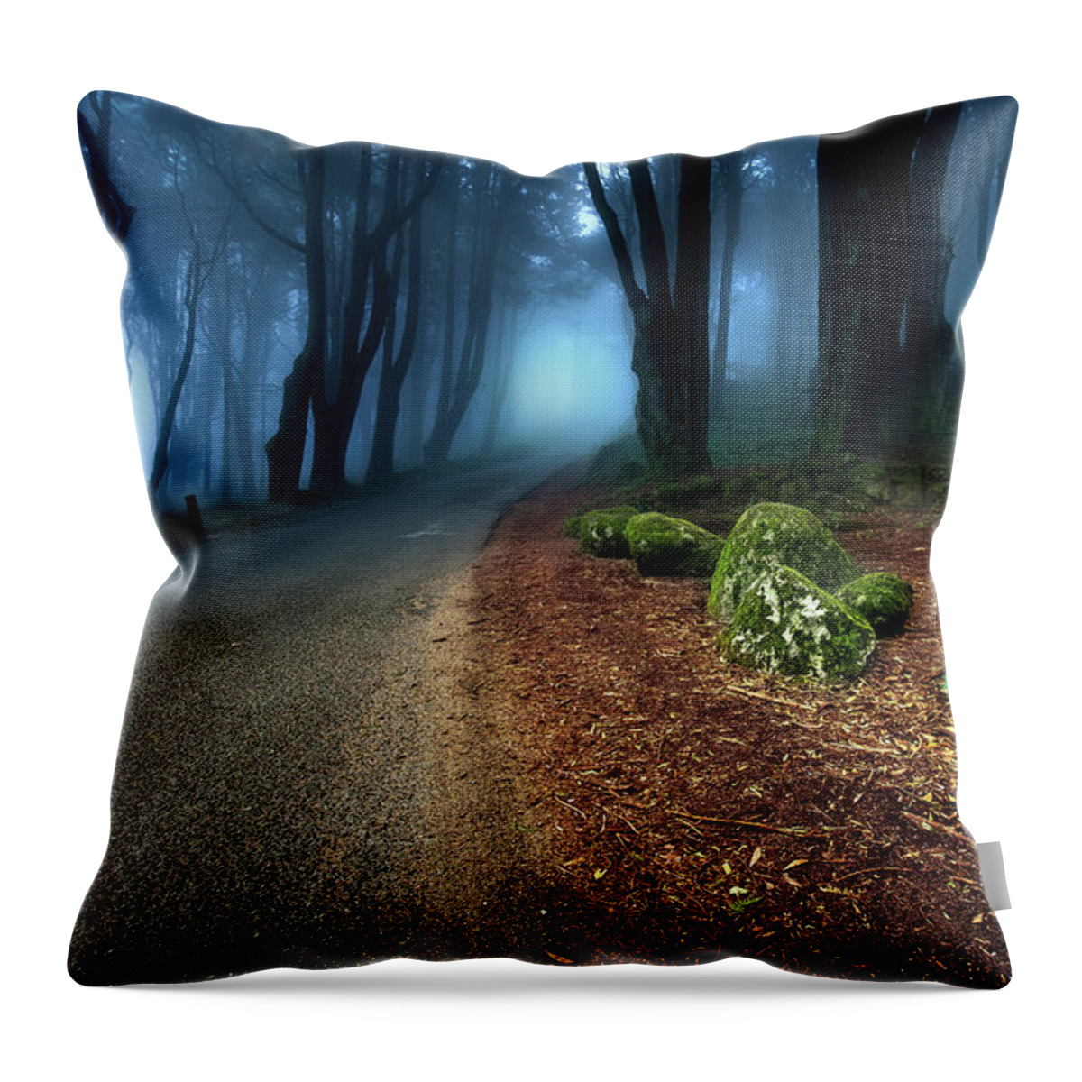  Throw Pillow featuring the photograph Take the journey by Jorge Maia