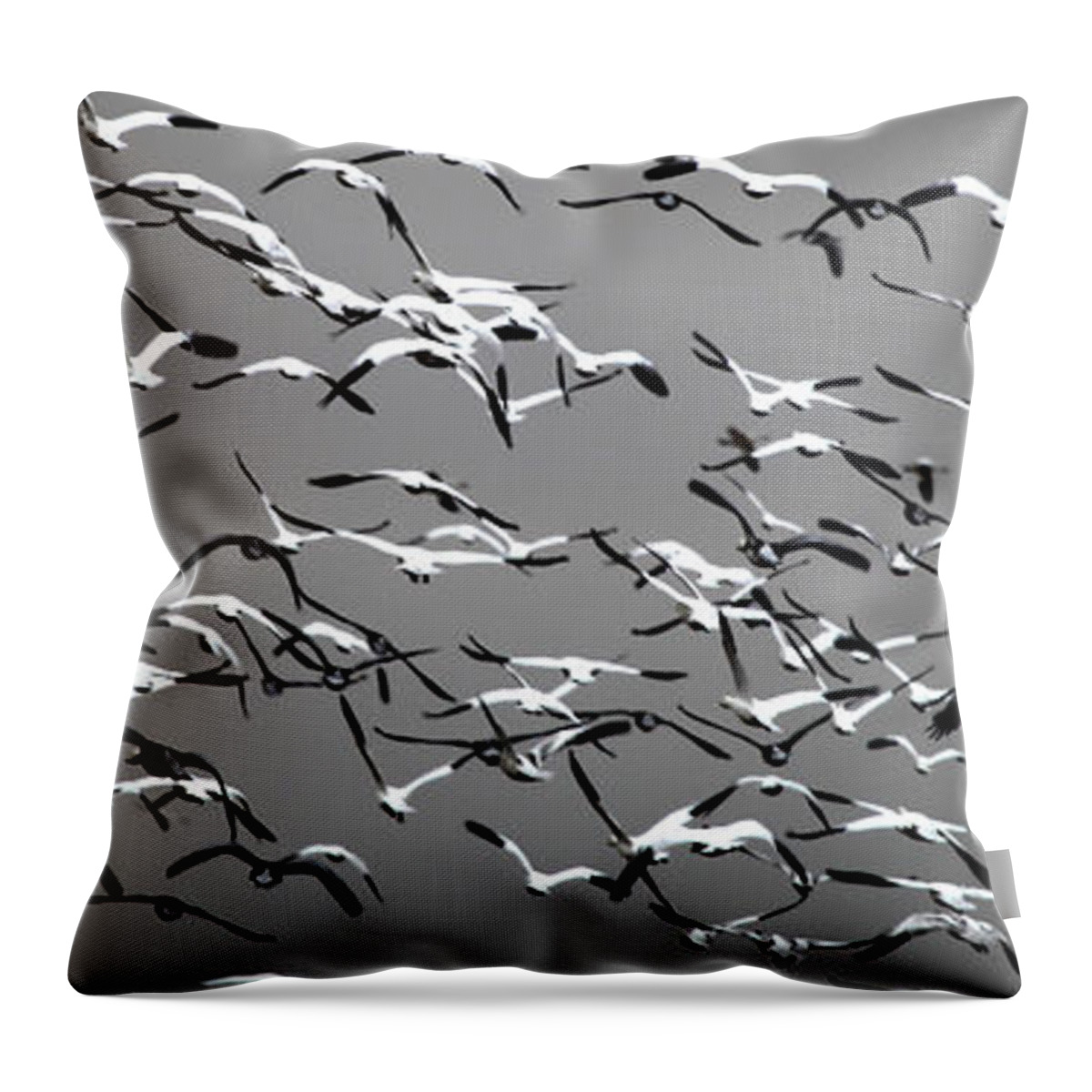 Throw Pillow featuring the photograph Take Wing 2 by Darcy Dietrich