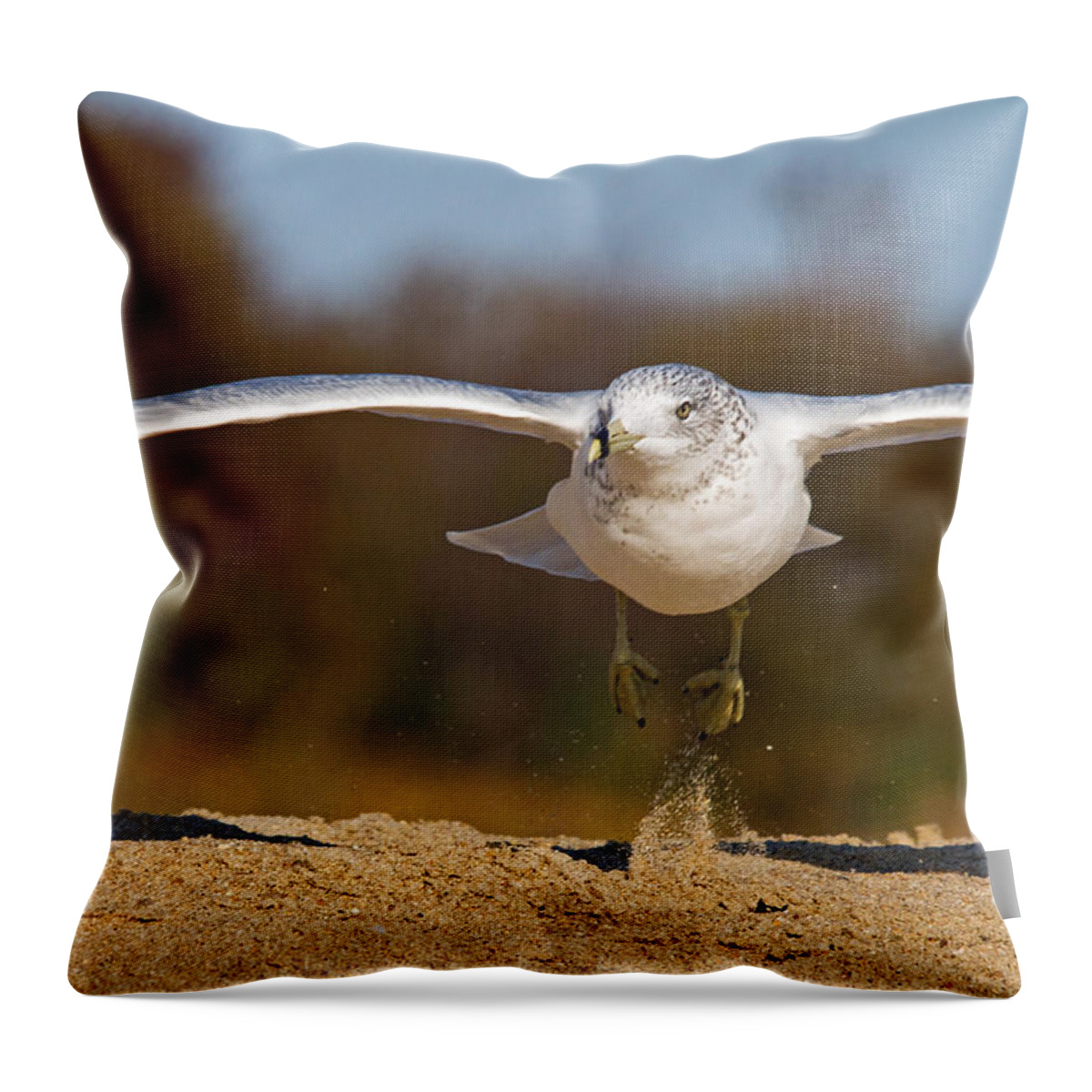 Seagull Throw Pillow featuring the photograph Takeoff by David Freuthal