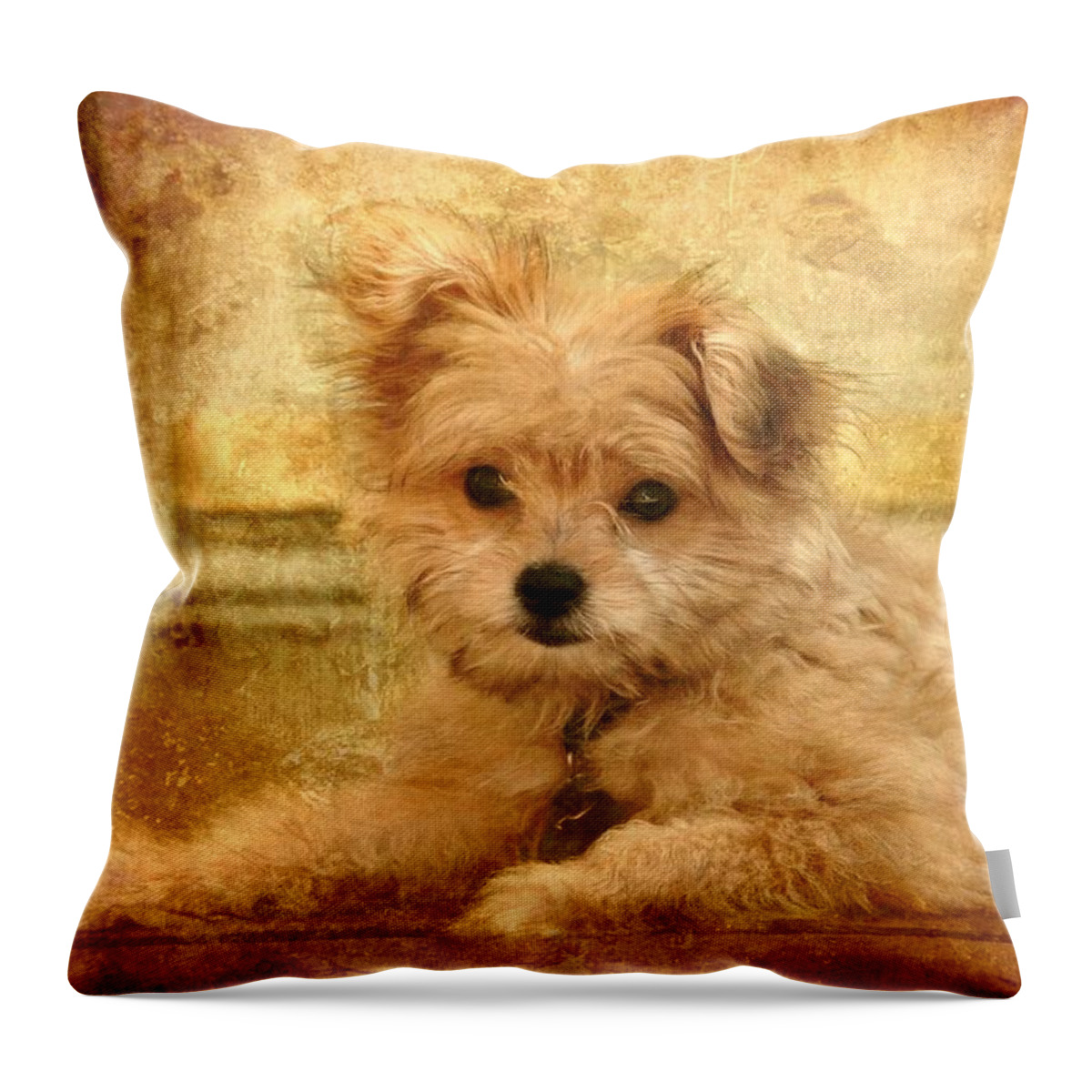 Puppies Throw Pillow featuring the photograph Taking A Break by Angie Tirado