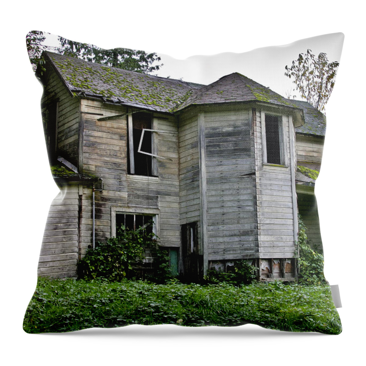 Man-made Throw Pillow featuring the photograph Taking Back by Albert Seger
