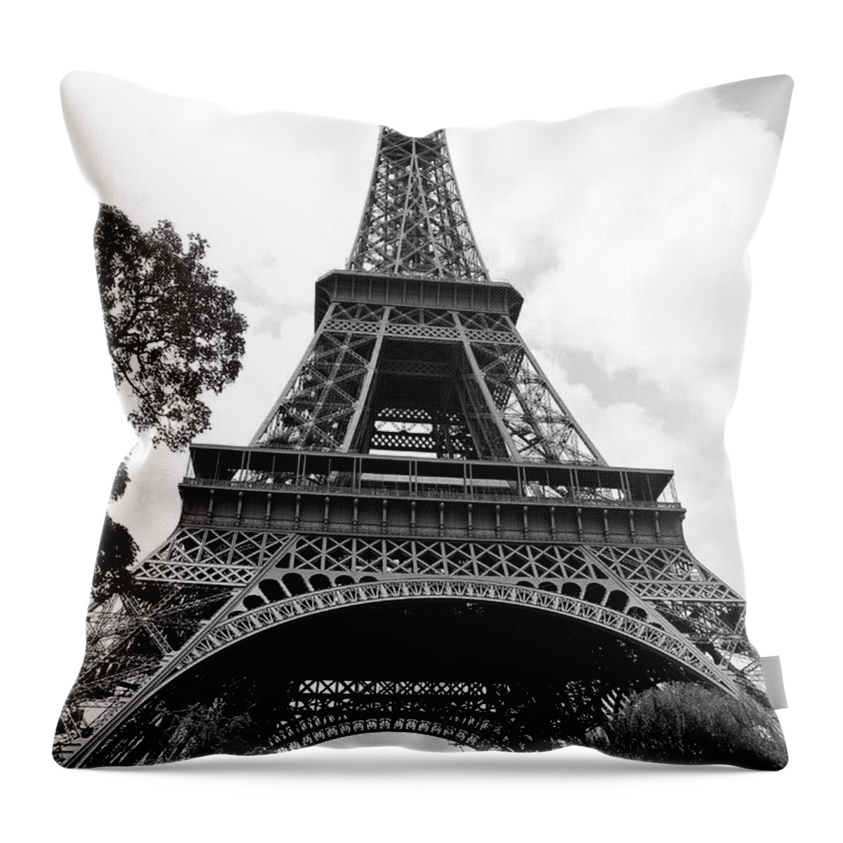 Scenic Throw Pillow featuring the photograph Tall and Beautiful by Randi Grace Nilsberg