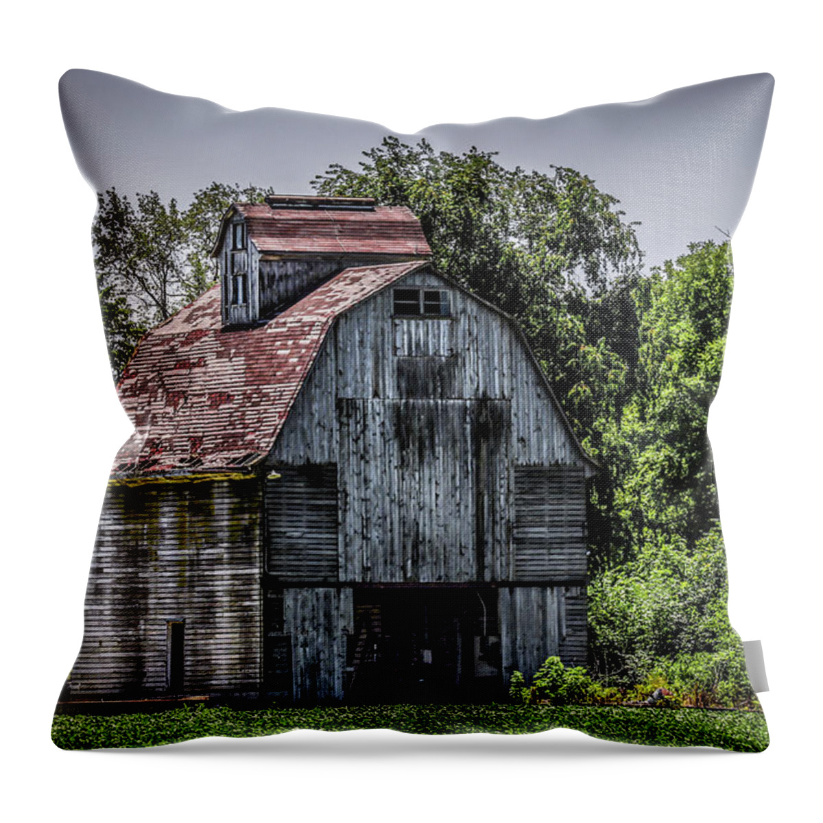 Barn Throw Pillow featuring the photograph Tall Barn by Ray Congrove