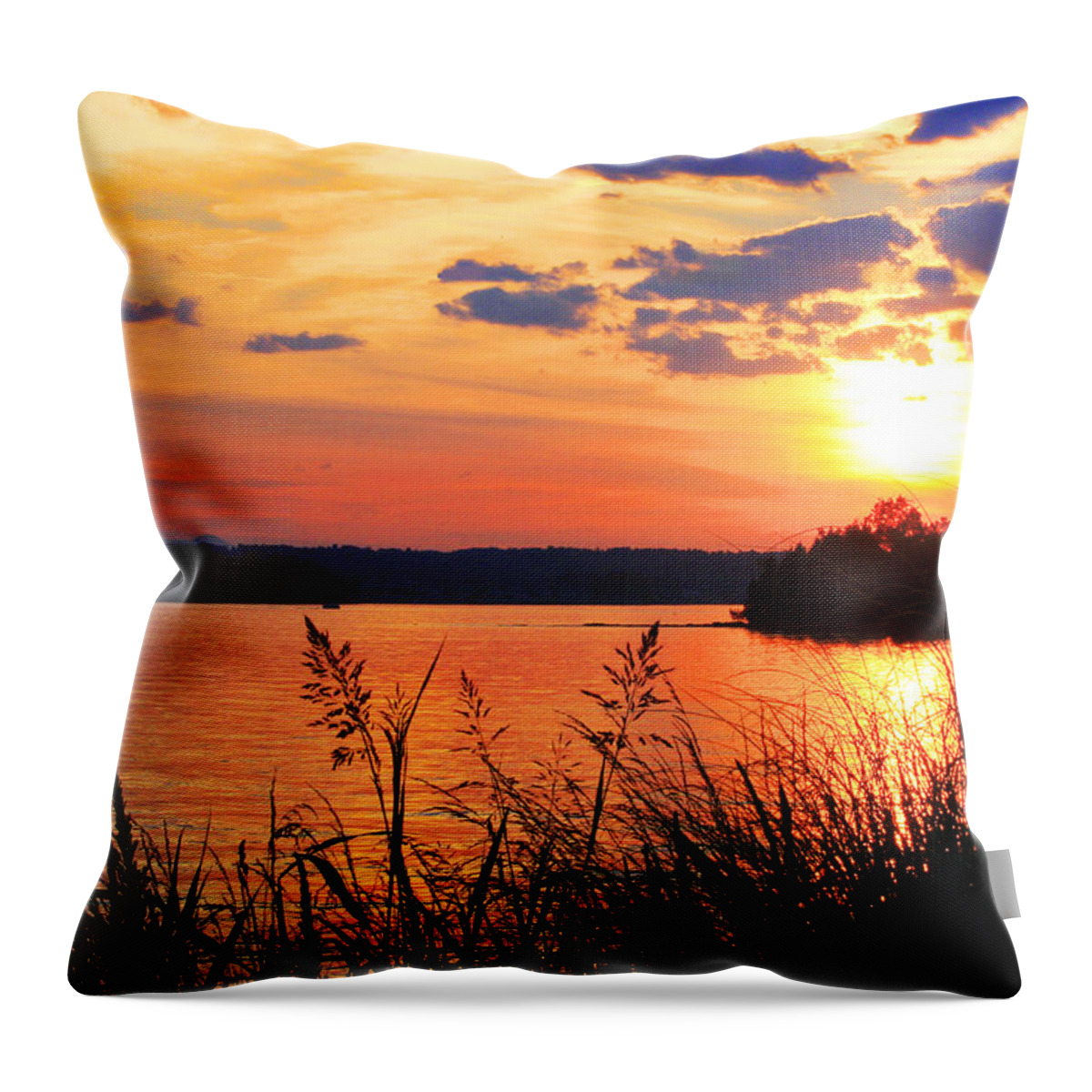 Smith Mountain Lake Sunset Throw Pillow featuring the photograph Tall Grass Sunset Smith Mountain Lake by The James Roney Collection