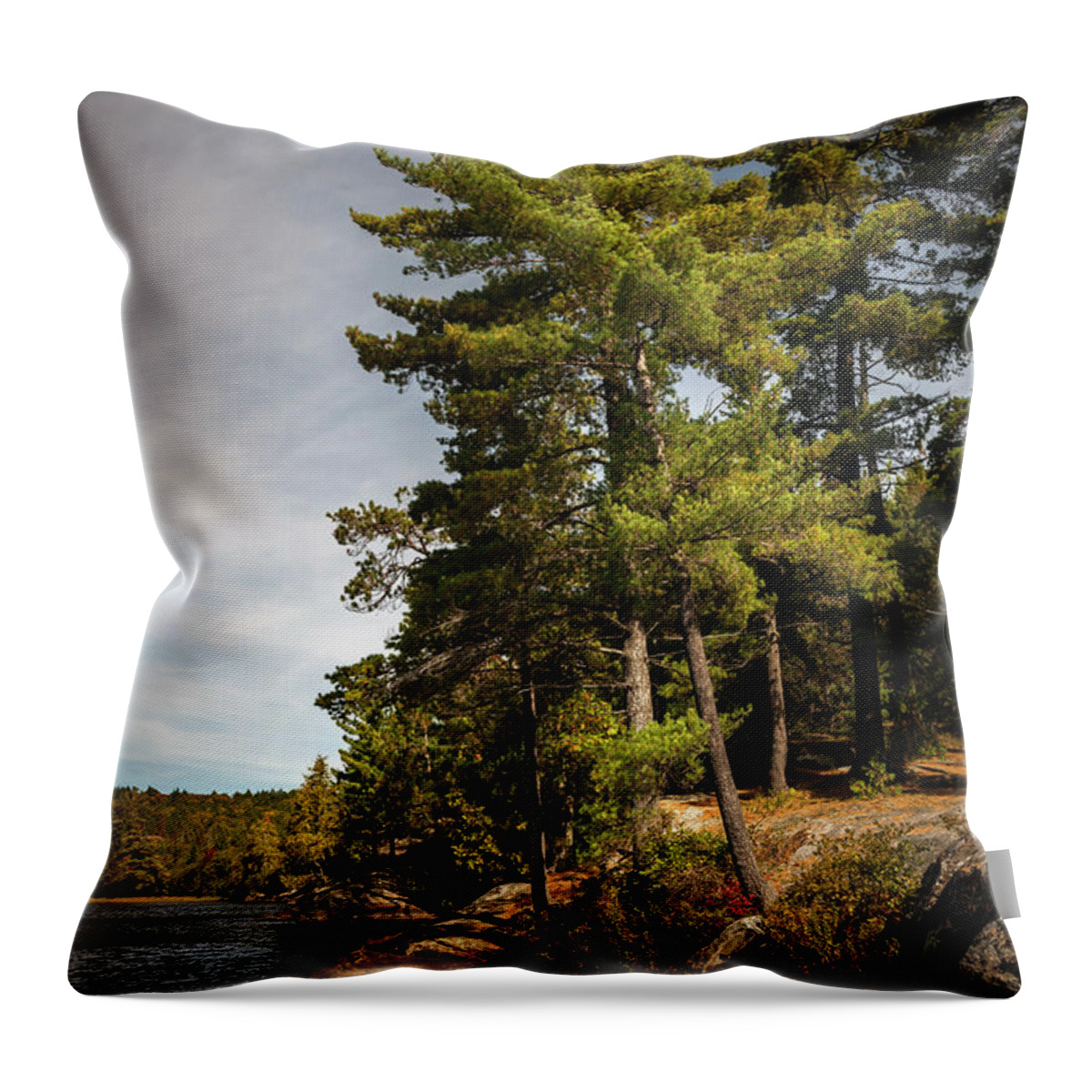 Pine Throw Pillow featuring the photograph Tall pines on lake shore by Elena Elisseeva