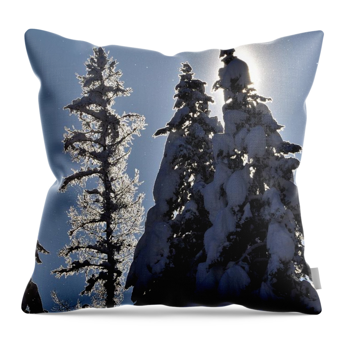 Reflections Throw Pillow featuring the photograph Tall trees and Tall Snow by Mike Helland