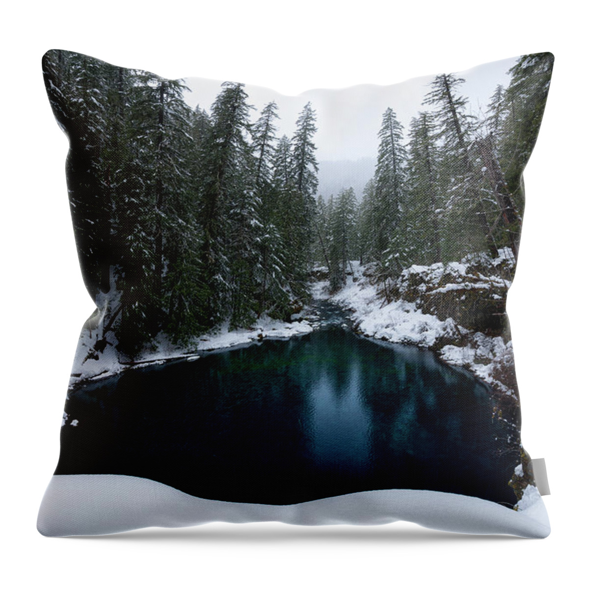 Mckenzie Throw Pillow featuring the photograph Tamolitch Pool by Andrew Kumler