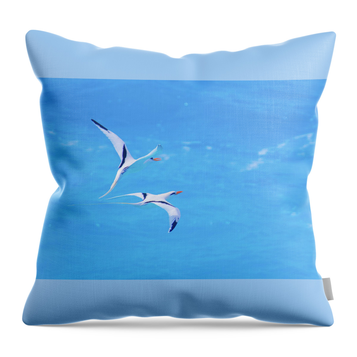 2018 Throw Pillow featuring the photograph Tangential Longtails by Jeff at JSJ Photography