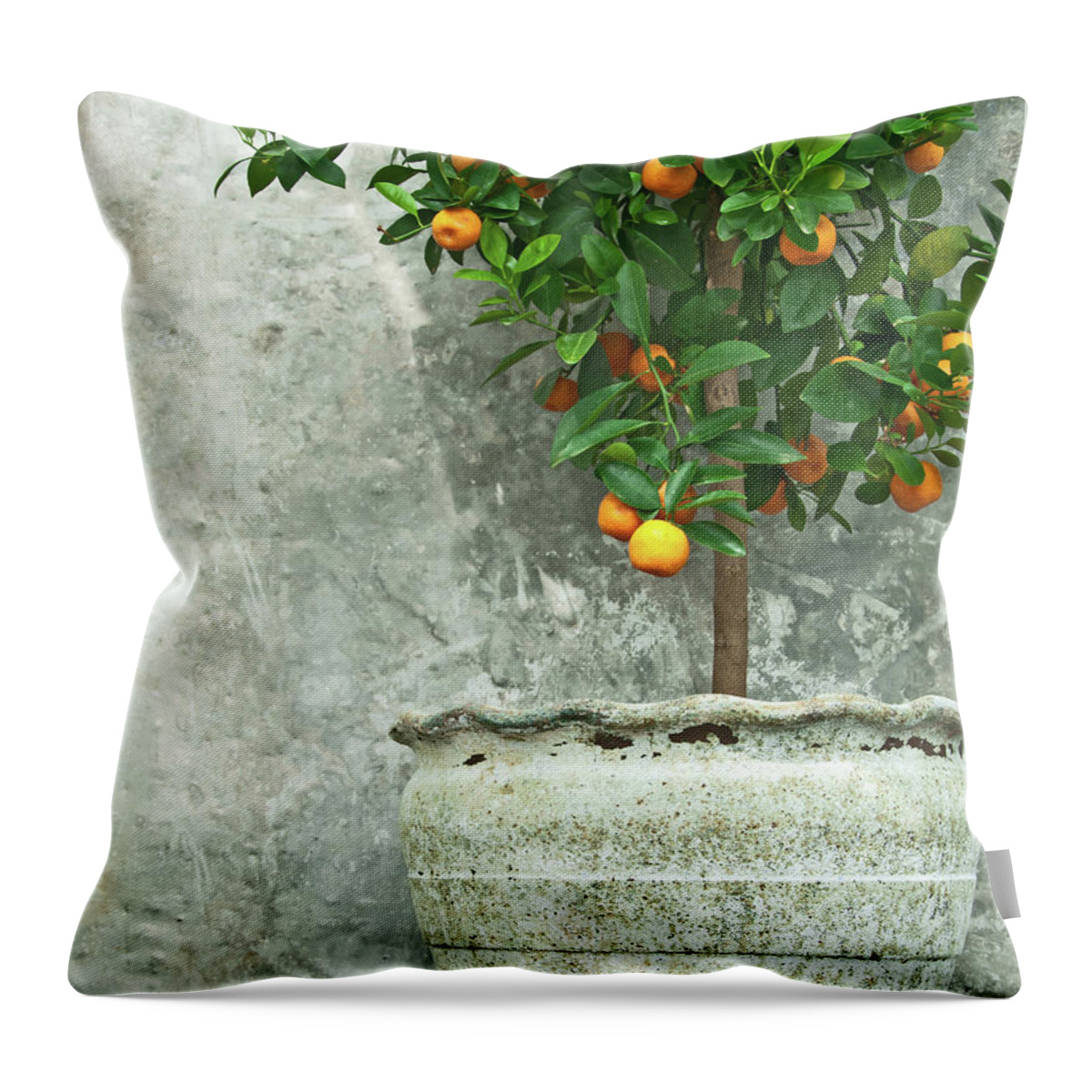 Tangerine Throw Pillow featuring the photograph Tangerine tree in old clay pot by GoodMood Art