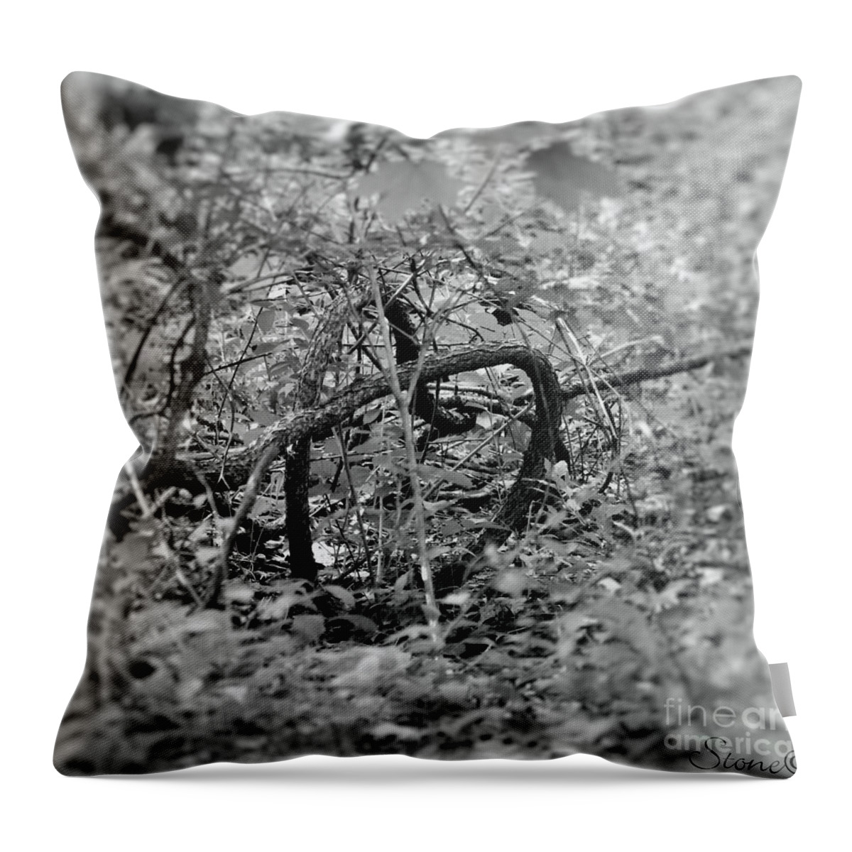 Black Throw Pillow featuring the photograph Tangled Love by September Stone