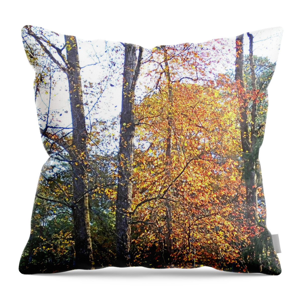 Fall Throw Pillow featuring the photograph Tanglewood Gold 6 by Lizi Beard-Ward