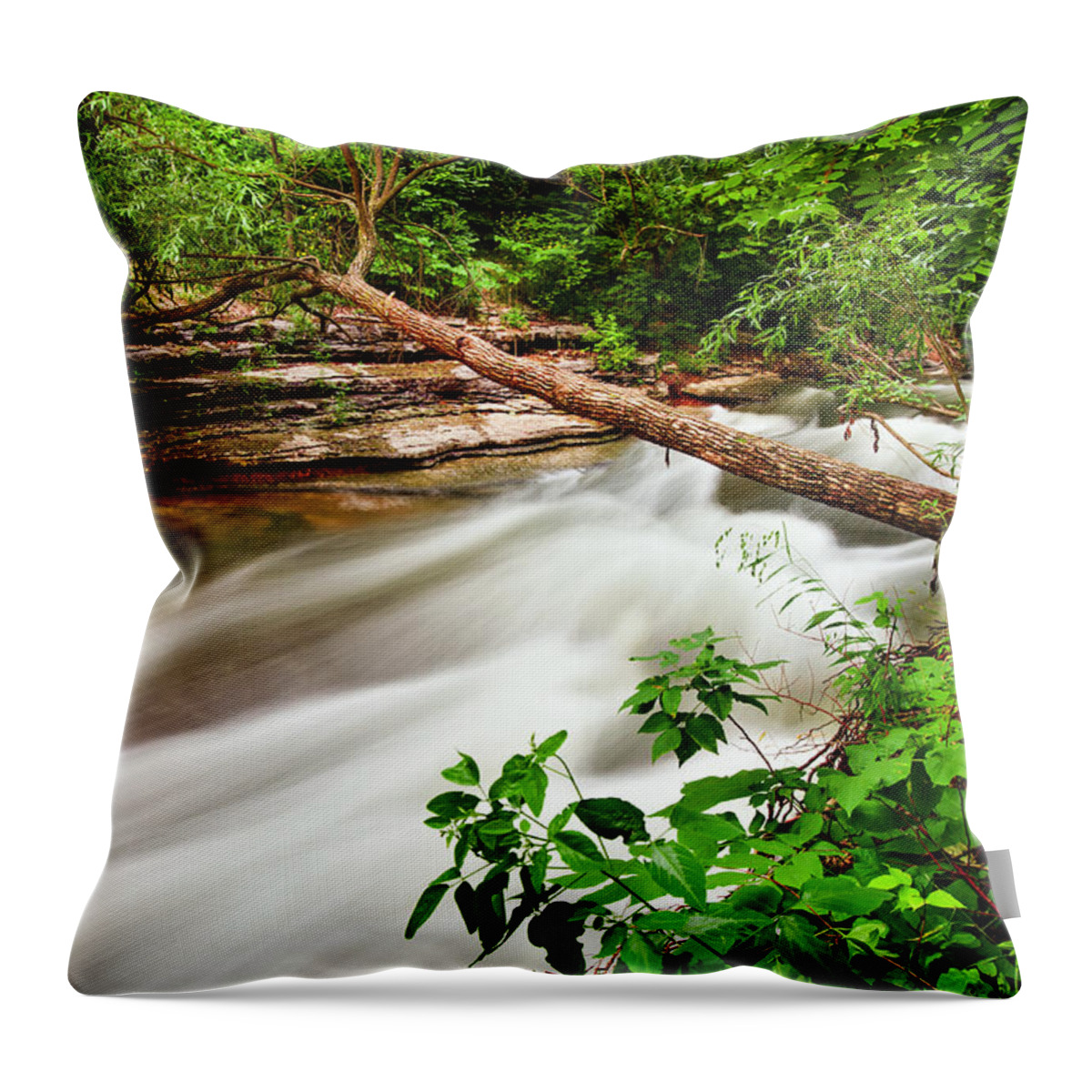 Tanyard Creek Throw Pillow featuring the photograph Tanyard Creek Flowing by Gregory Ballos