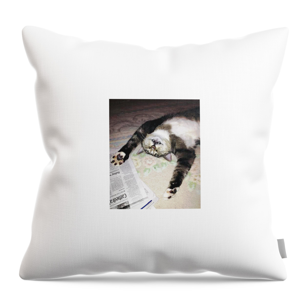 Cat Throw Pillow featuring the photograph Tao by Bob Johnson