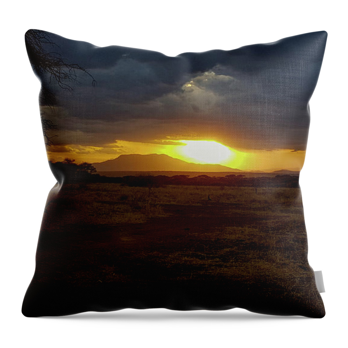 Africa Throw Pillow featuring the photograph Tarangire Sunset by Marilyn Burton