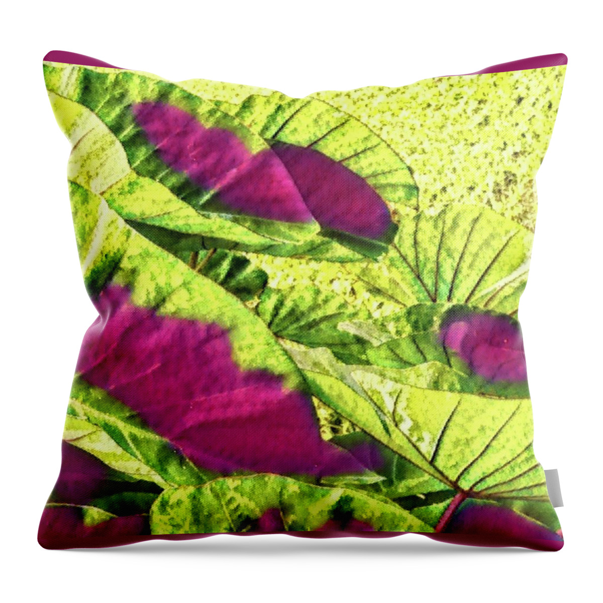 #taroleaves #taro #leaves #green #red #flowersofaloha Throw Pillow featuring the photograph Taro Leaves in Green and Red by Joalene Young