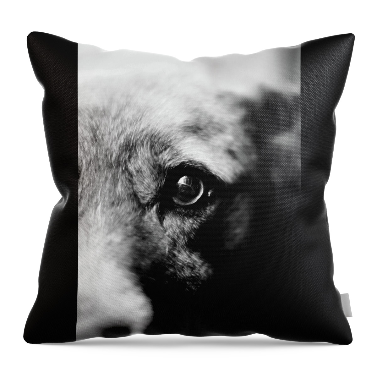 Taters Throw Pillow featuring the photograph Taters Eye by Sandra Dalton