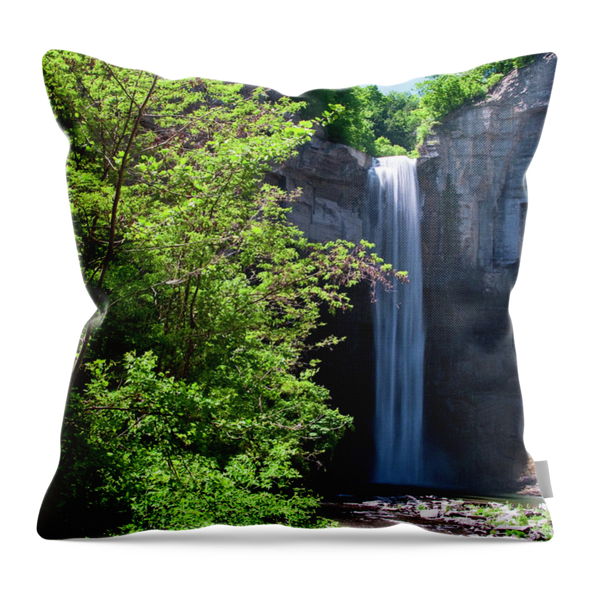 Water Throw Pillow featuring the photograph Taughannock Falls 0466 by Guy Whiteley