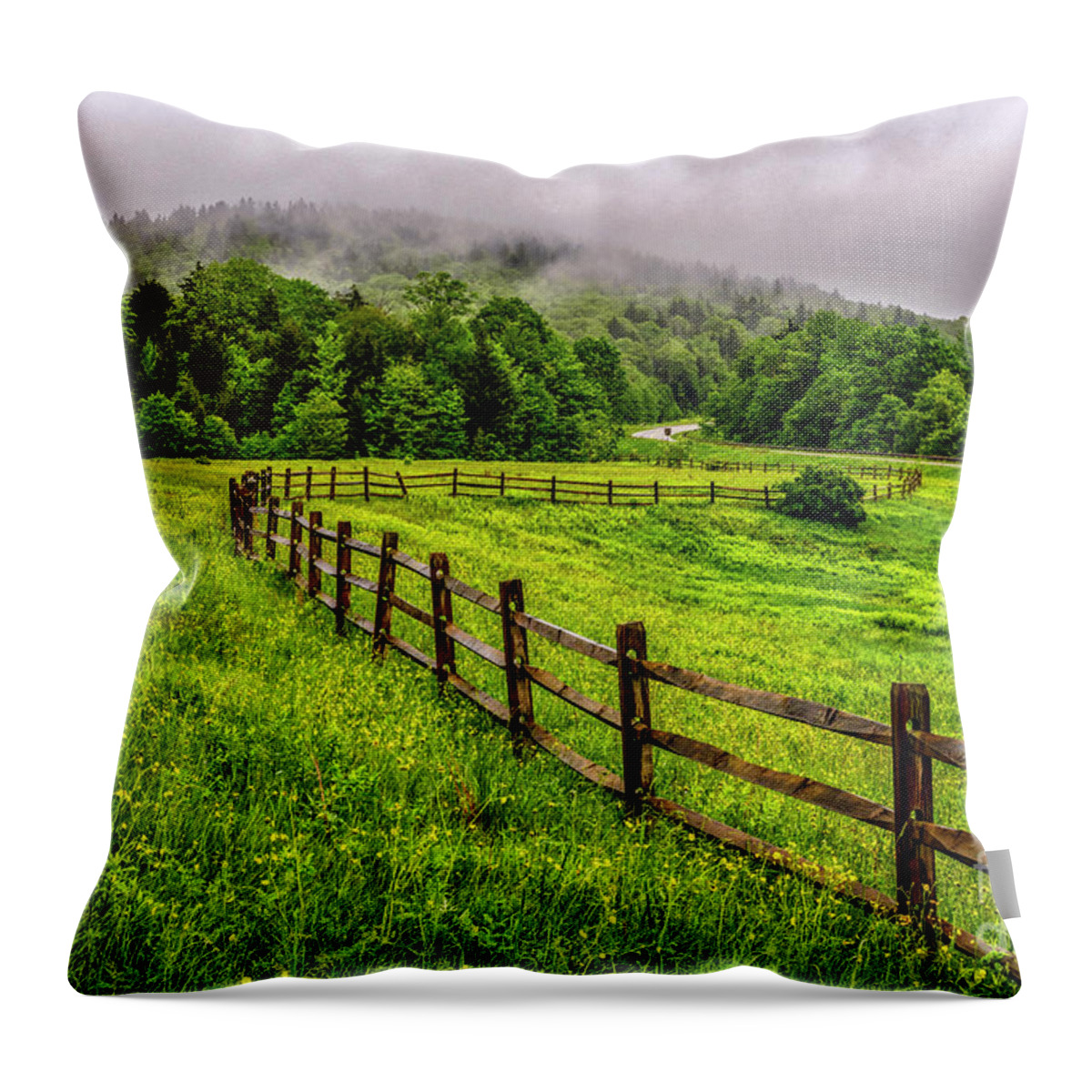 Spring Throw Pillow featuring the photograph Tea Creek Meadow and Buttercups by Thomas R Fletcher