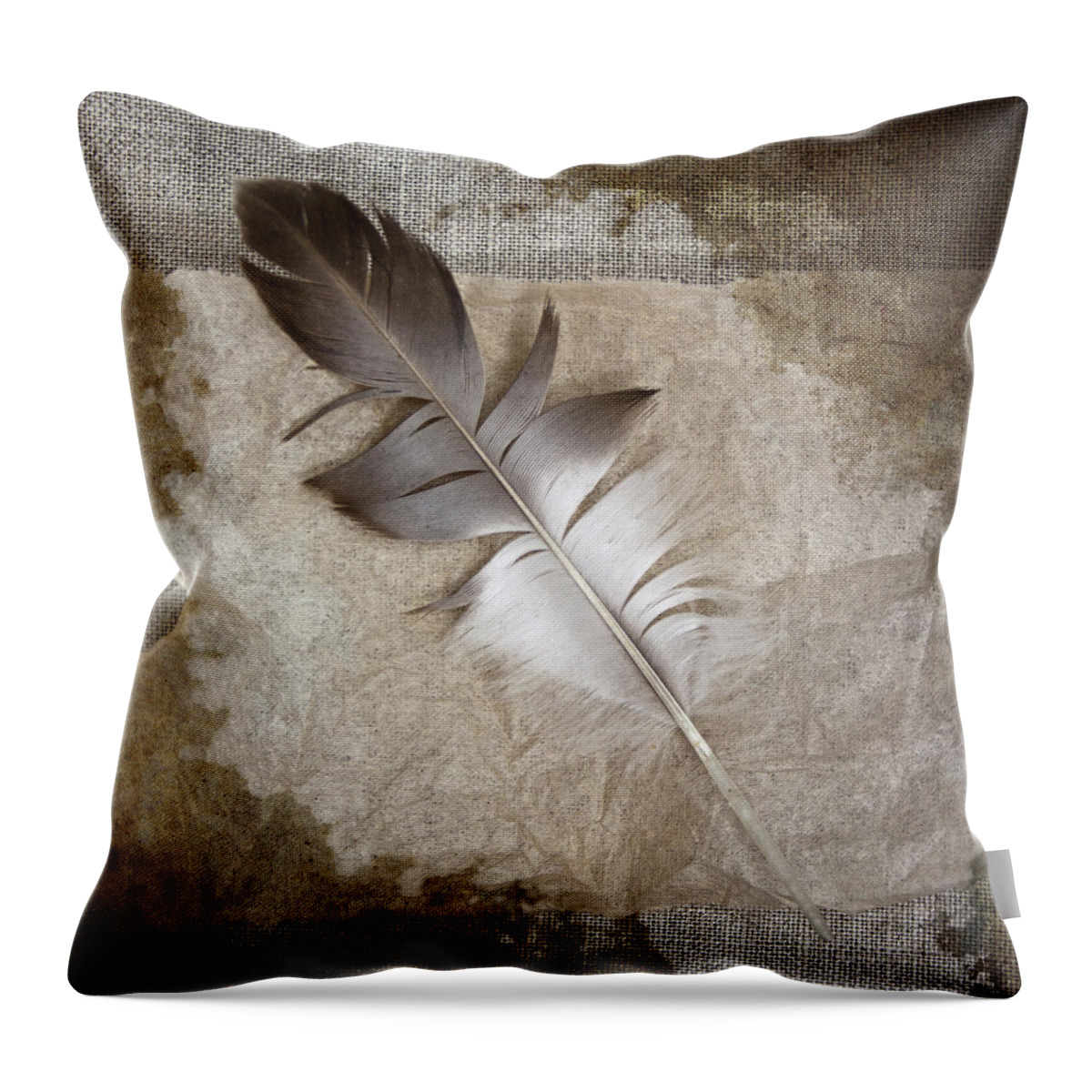 Carol Leigh Throw Pillow featuring the photograph Tea Feather by Carol Leigh