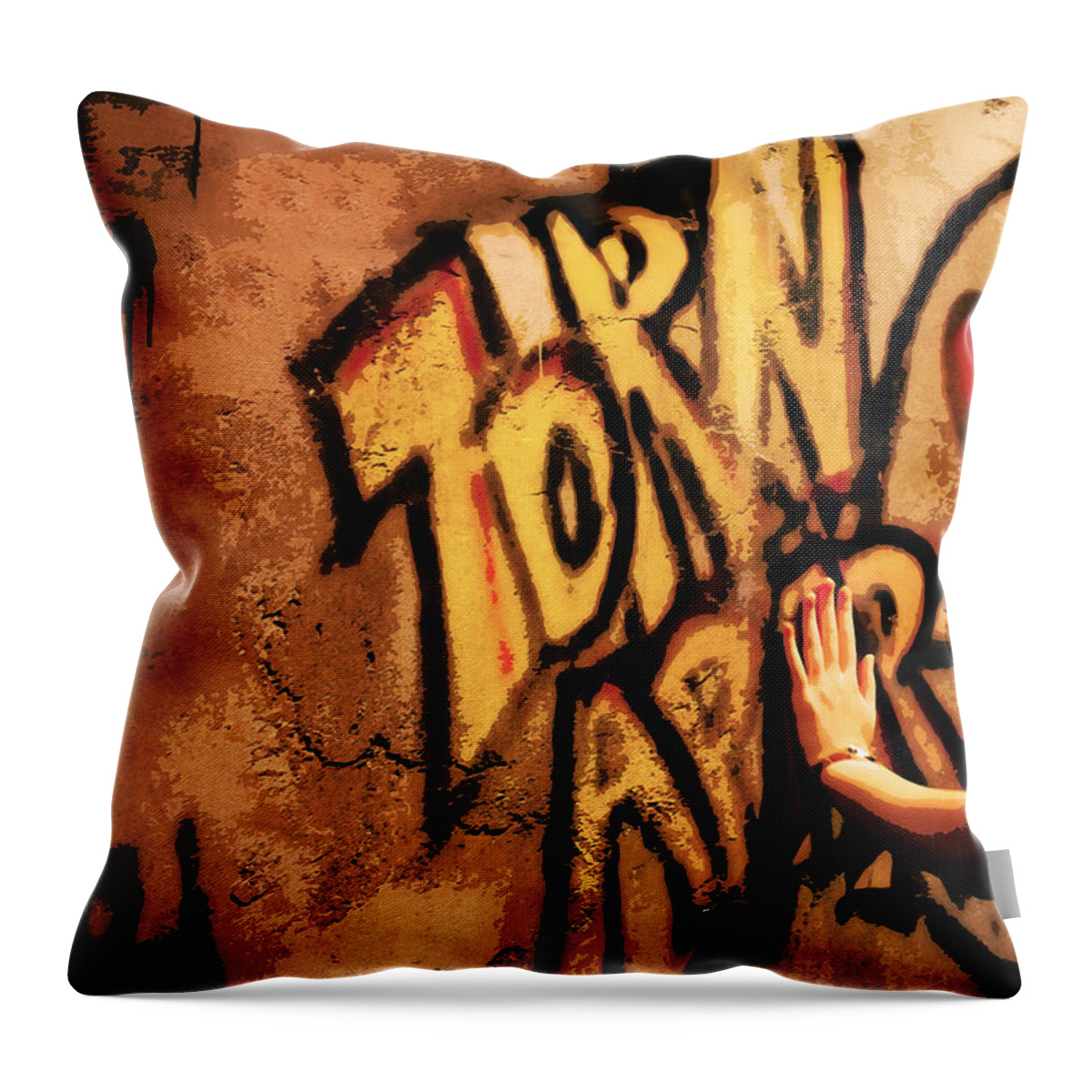 Berlin Throw Pillow featuring the photograph Tear This Wall Down by Susan Vineyard