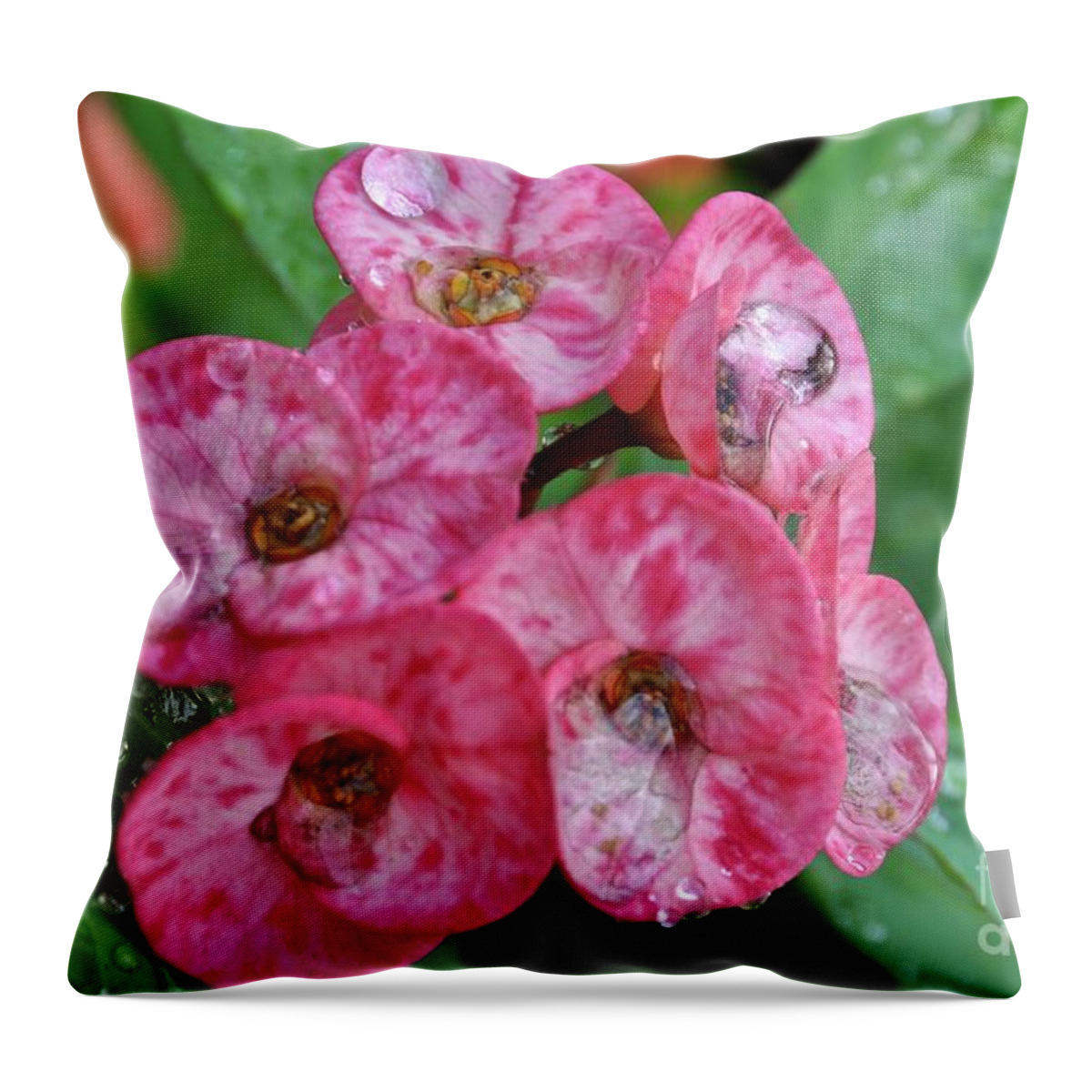 Flowers Throw Pillow featuring the photograph Tears of Joy by Csilla Florida