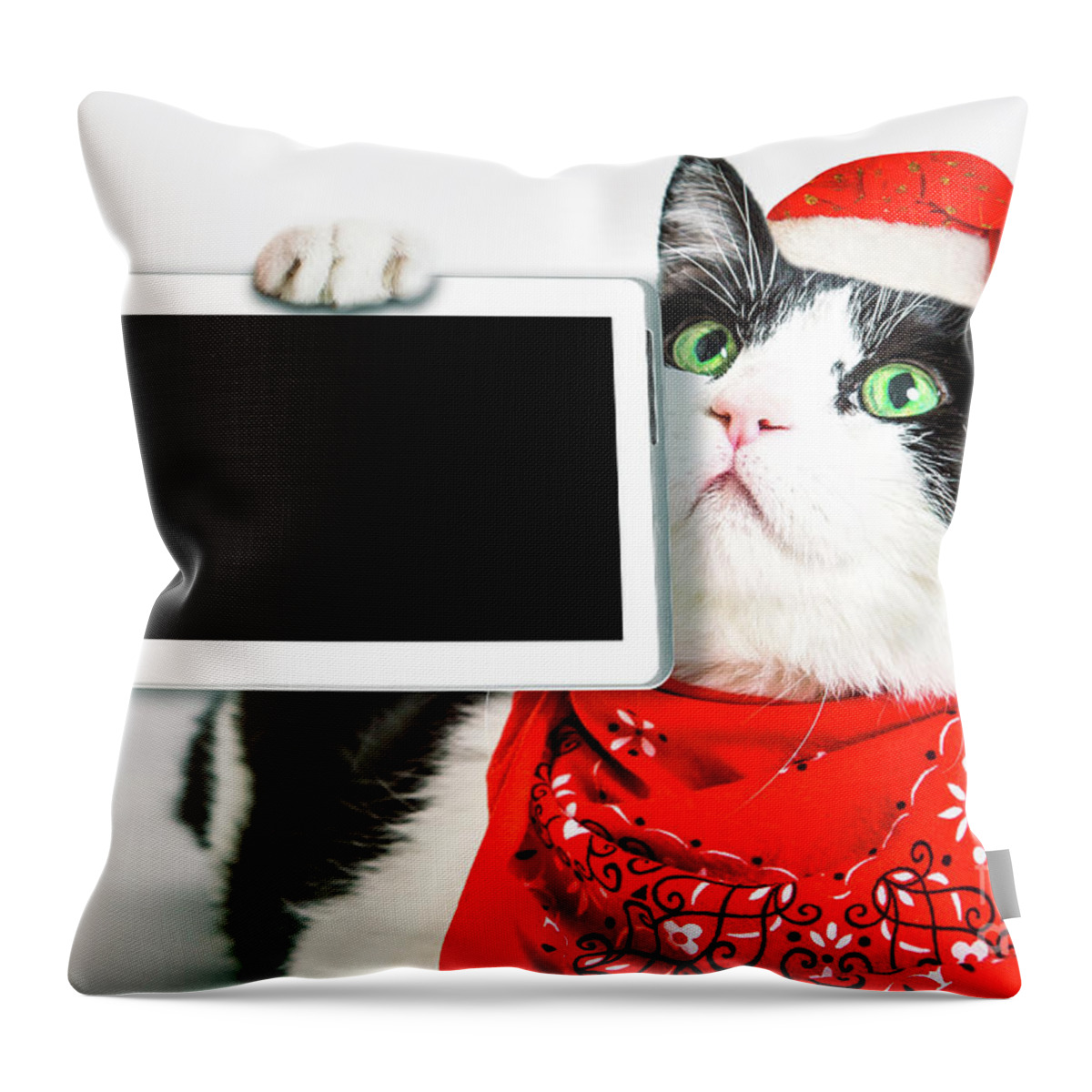 Cat Throw Pillow featuring the photograph Technology christmas Cat by Benny Marty