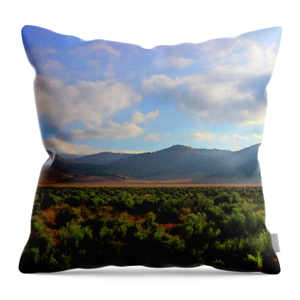 Tehachapi Throw Pillow featuring the photograph Tehachapi Mountains 2 by Timothy Bulone