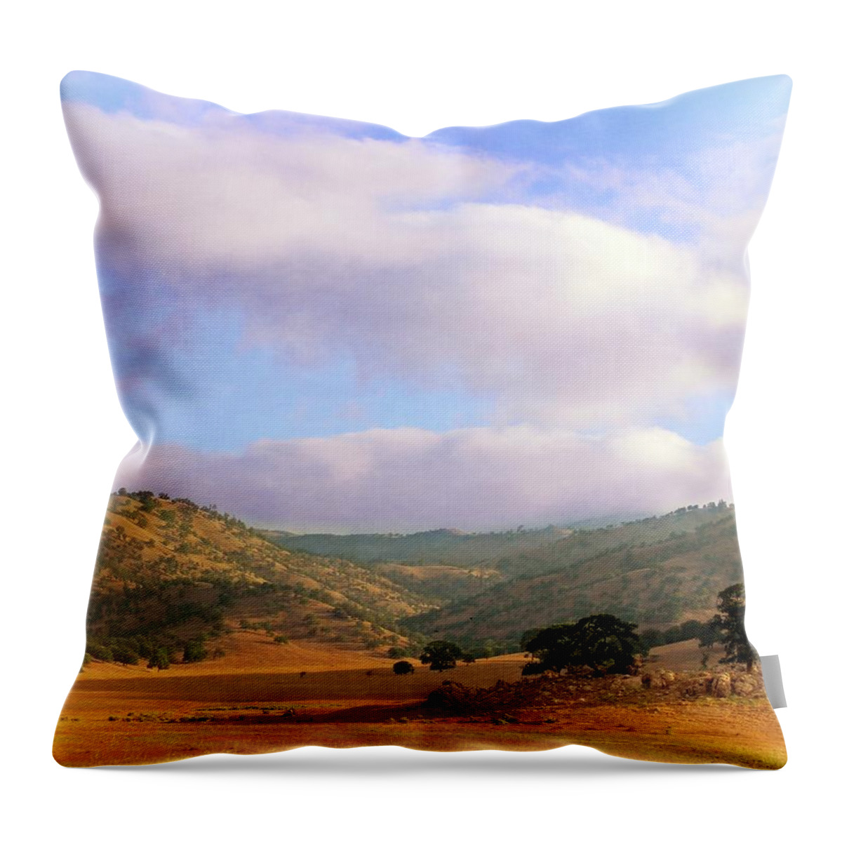 Tehachapi Throw Pillow featuring the photograph Tehachapi Valley by Timothy Bulone