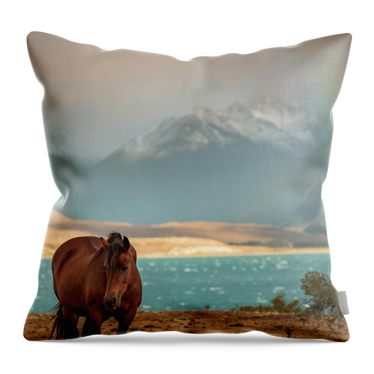 New Zealand Throw Pillow featuring the photograph Tekapo Horse by Chris Cousins
