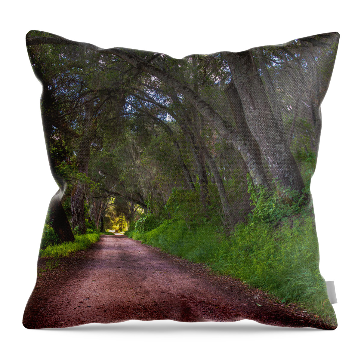 Templeton Throw Pillow featuring the photograph Templeton Arches by Tim Bryan