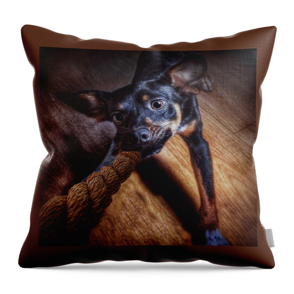 Dog Throw Pillow featuring the photograph Tenacity by Brenda Wilcox aka Wildeyed n Wicked