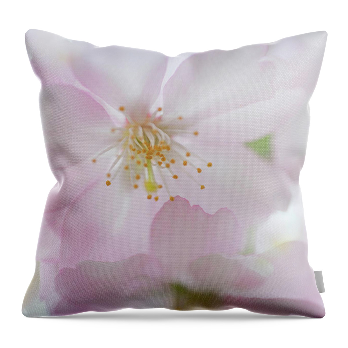 Jenny Rainbow Fine Art Photography Throw Pillow featuring the photograph Tender Bloom of Sakura by Jenny Rainbow